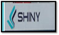 Shiny Shipping P Ltd.